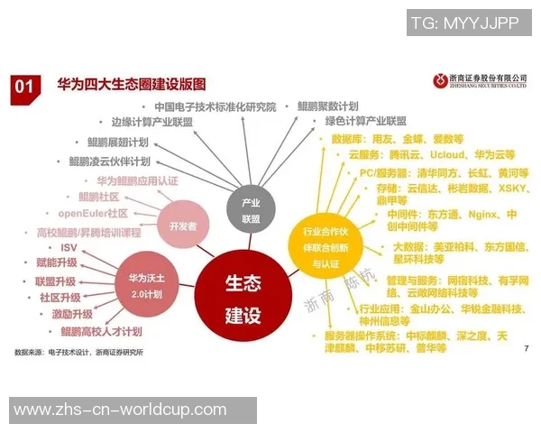 重庆排球队技术分析与战术创新的深度探讨与展望 重庆排球队技术分析与战术创新的深度探讨与展望