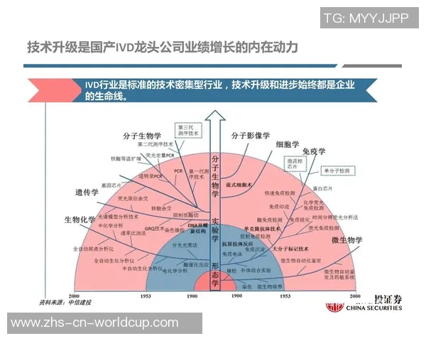 重庆足球队与深圳足球队赛后复盘分析精彩配合与战术执行的深度探讨